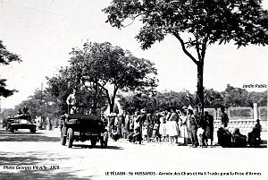 1190- Le Telagh - Defile 9eme Hussards- 1959